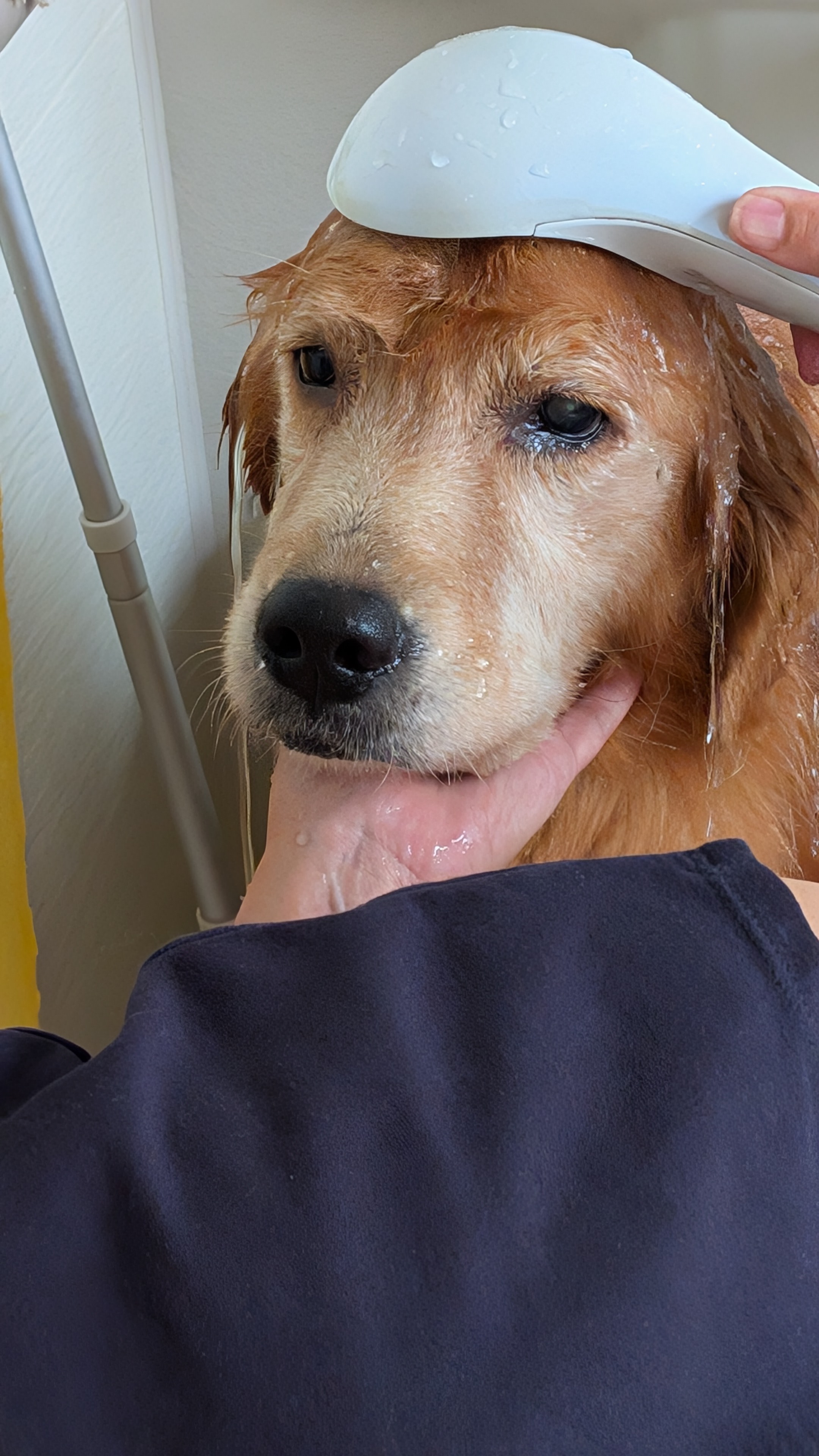 ども！クルポンです（シャンプー編）