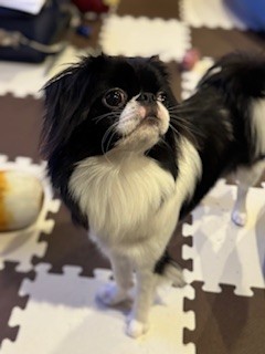 信じてないけど、おりこうさんらしい