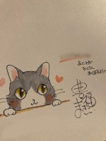 サテューの徒然｜絵本の時間