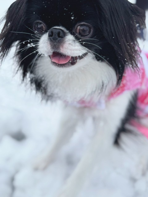 初めての雪体験