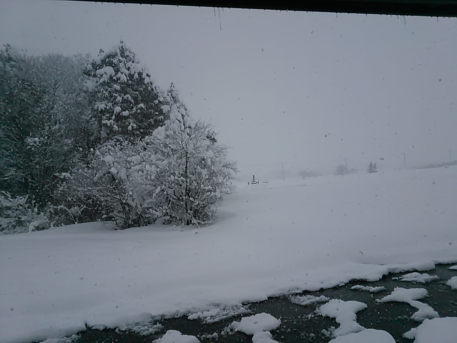 ども！クルポンです！（雪国編