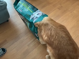 ども！くるぽんです！（くるみ編）