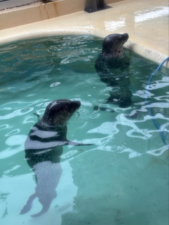 魚津水族館へ行ってきました！