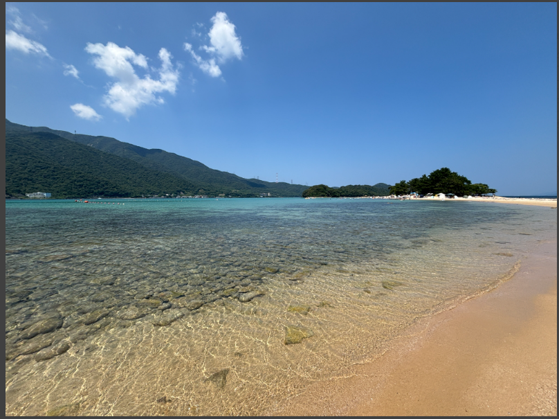 夏