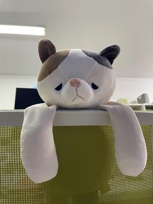 🎂誕生日を迎えて気づいたこと