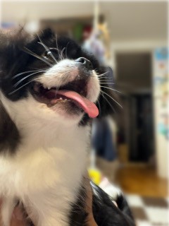 静かに寄り添う…はずだった